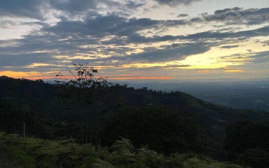 RENTA FINCA TERRENO CORDOBA QUINDIO
